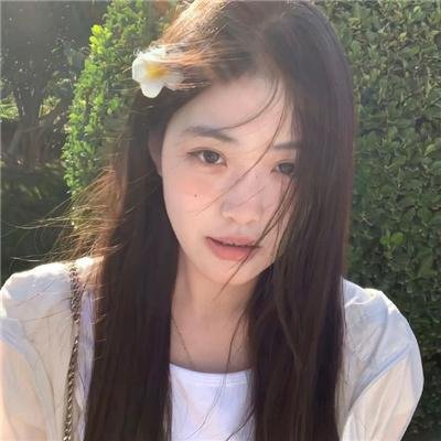 琼楼飞燕
